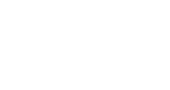 Mante Molepo Consulting Logo